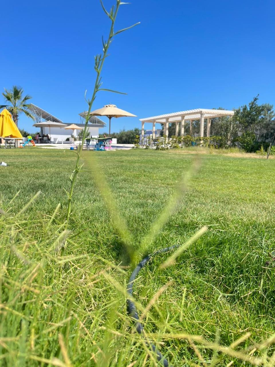 Villa Olivia, Yasmine Hammamet, Bouficha Zewnętrze zdjęcie
