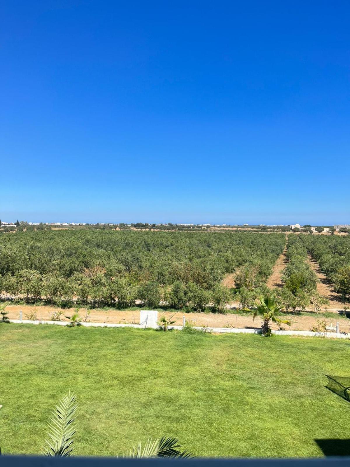 Villa Olivia, Yasmine Hammamet, Bouficha Zewnętrze zdjęcie