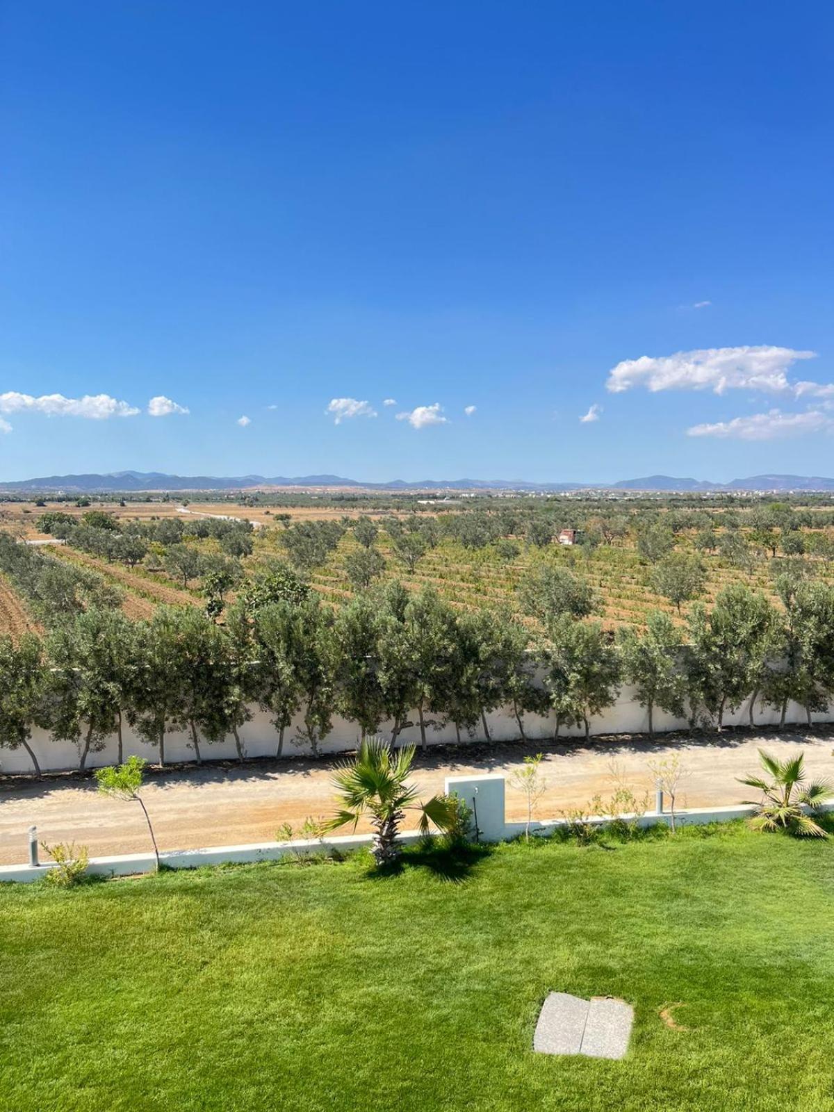 Villa Olivia, Yasmine Hammamet, Bouficha Zewnętrze zdjęcie